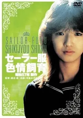 小成本黑马与观众口味变化